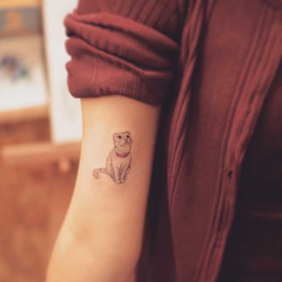 Cat tattoos