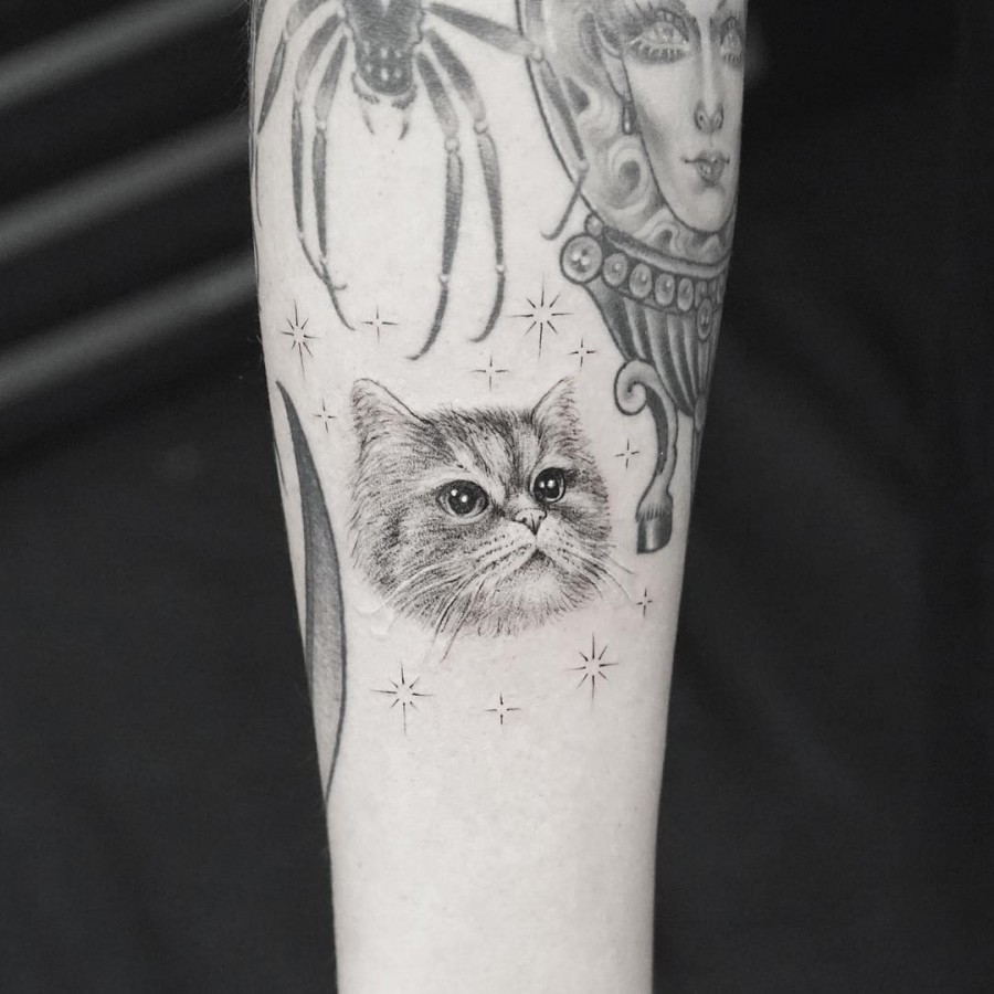 fluffy cat tattoo
