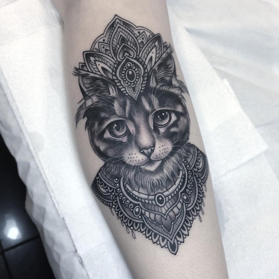 Cat tattoos