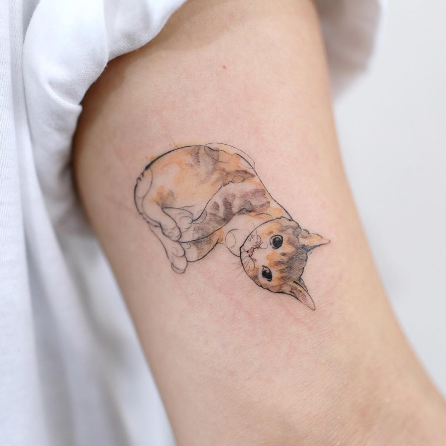 Cat tattoos