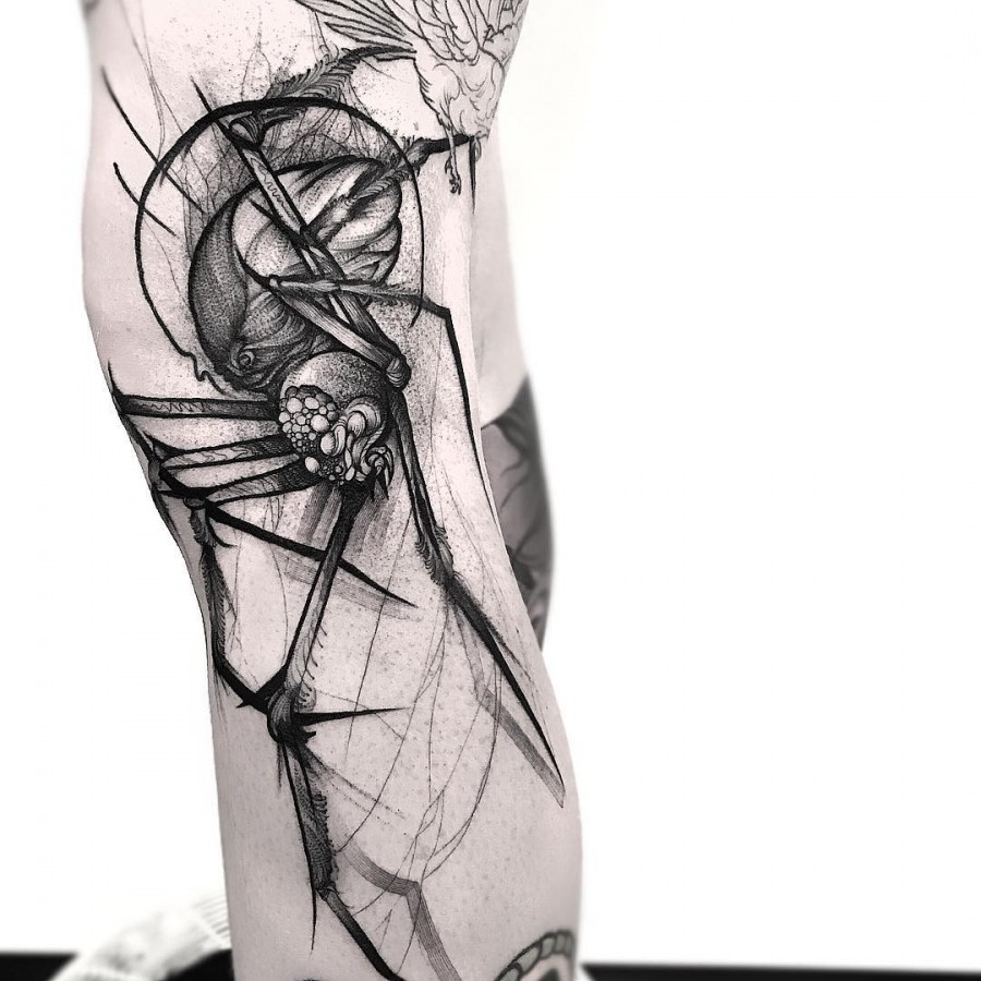 spider sketch style tattoo by frank carrilho
