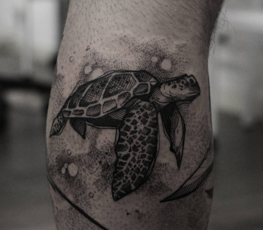 turtle tattoo by ricardo da maia
