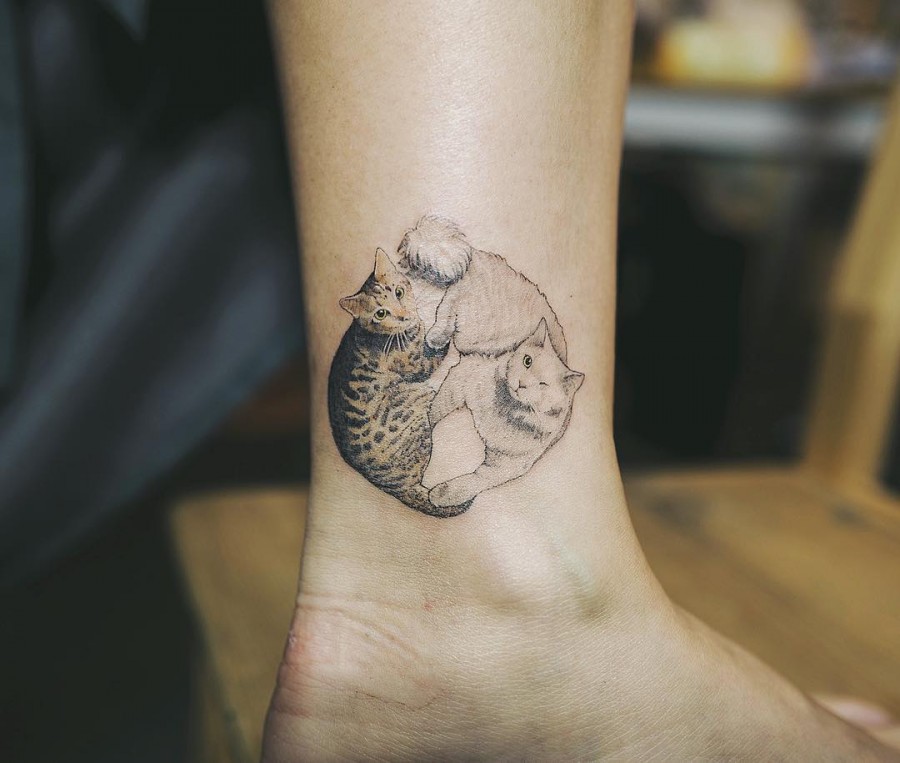 Cat tattoos
