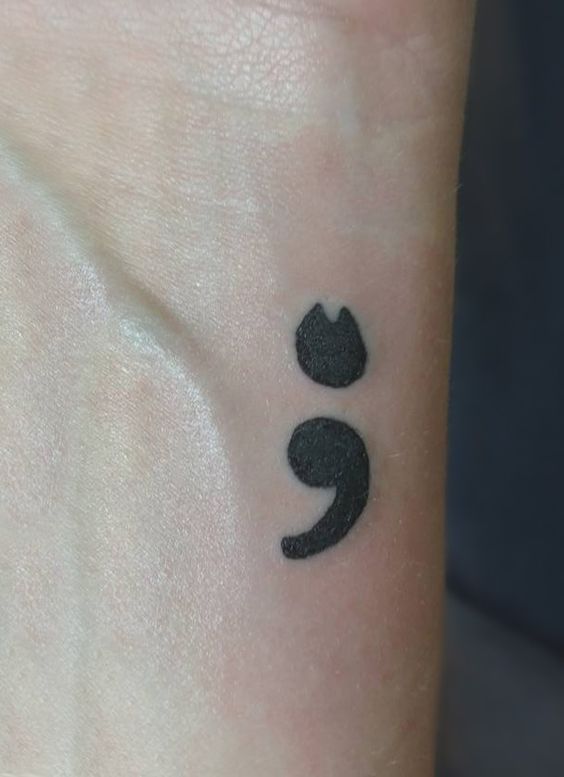 semi colon cat