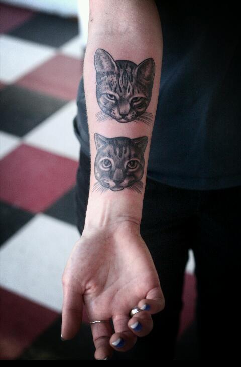 Cats-tattoo