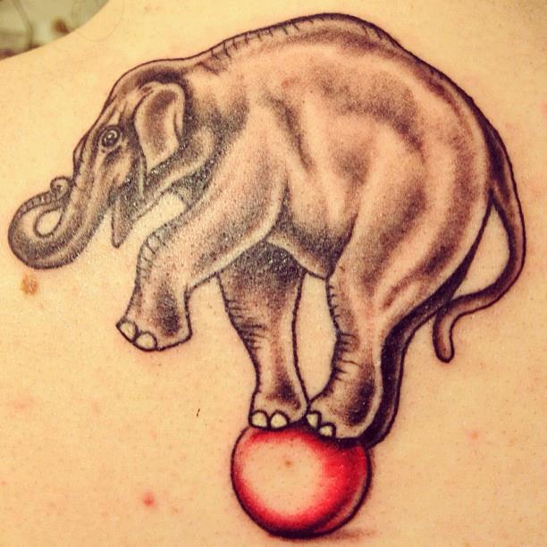 Circus-elephant