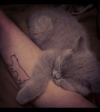 Cute-Cat-Cat-Tattoo