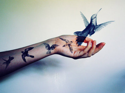 elegant bird tattoo graphic hand tattoo