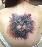 fluffy cat tattoo on back