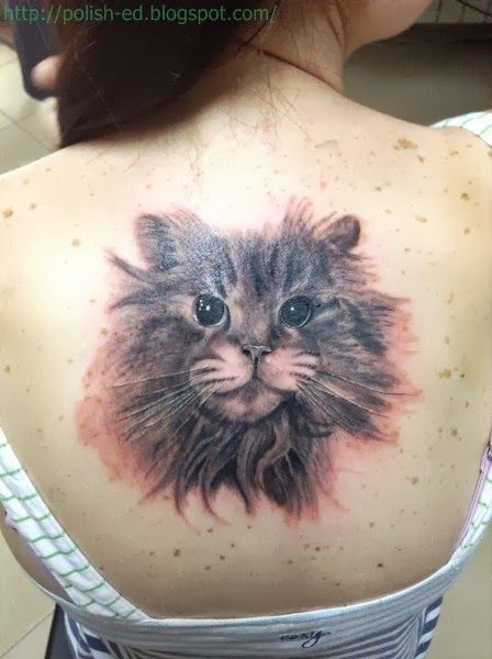 fluffy cat tattoo on back