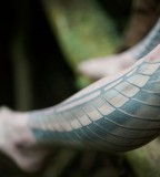 pastel leg tattoos by idexa stern