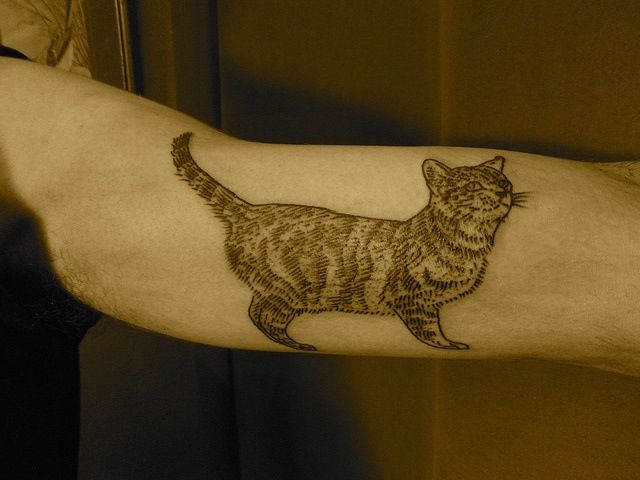 tabby cat tattoo on inside arm