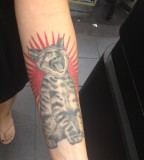 very neat cat tattoo on arm