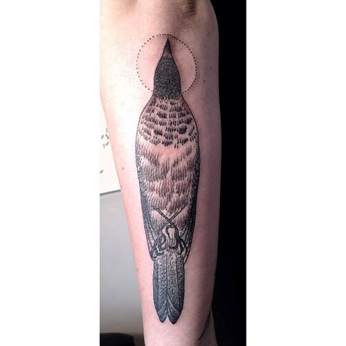 bird with aureola tattoo by victor j webster