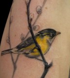 Amaizing bird tattoo