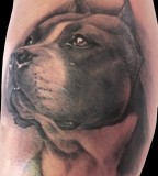 Awesome dog tattoo by Matteo Pasqualin