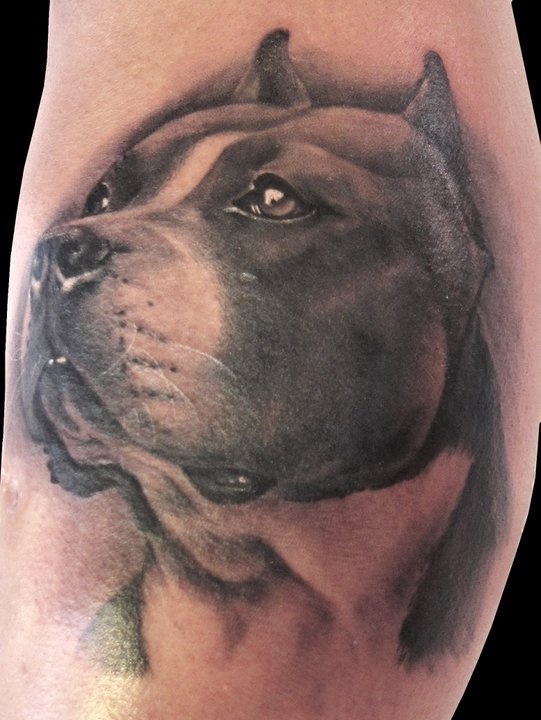 Awesome dog tattoo by Matteo Pasqualin