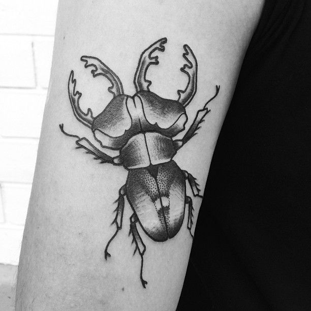 Black and white insect tattoo by Philippe Fernandez