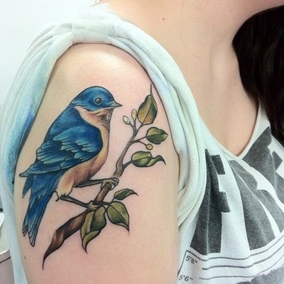 Blue birs tattoo on shoulder