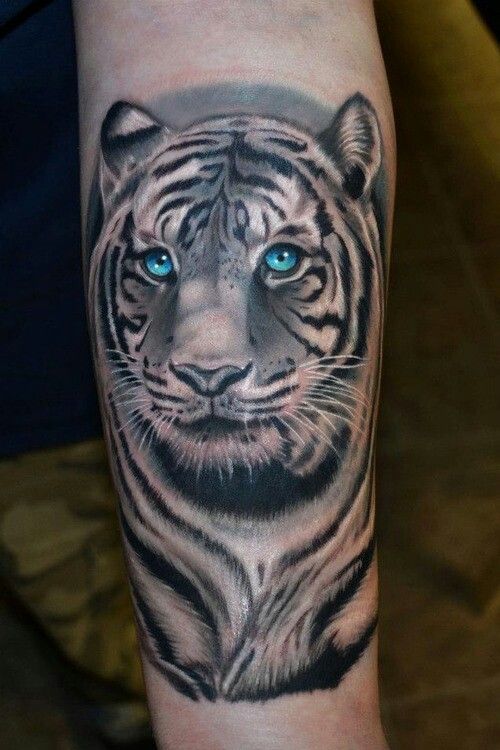 Blue eyes tiger tattoo