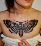 Butterfly Marcin Aleksander Surowiec tattoo