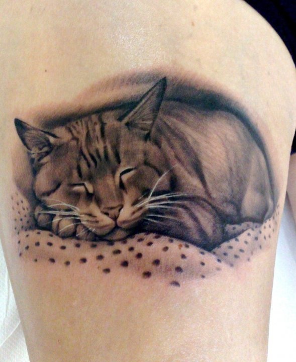 Cat tattoo by Matteo Pasqualin