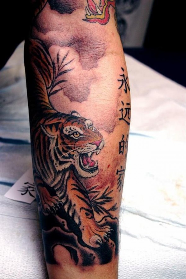 China tiger tattoo