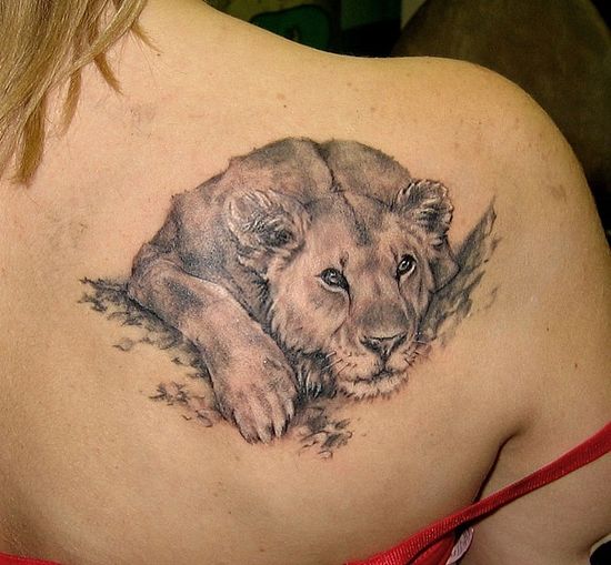 Cute lion tattoo