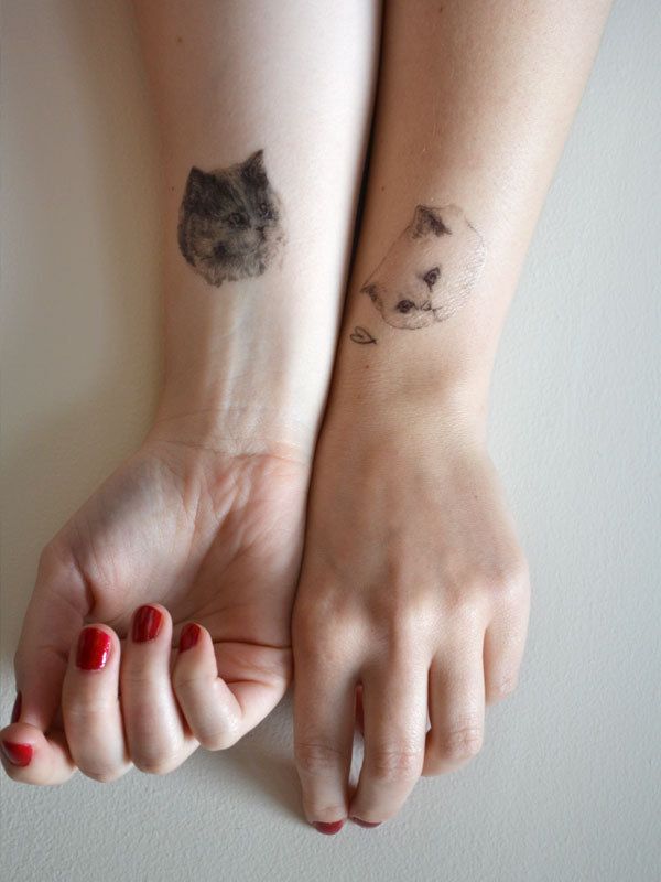 Different cats tattoo