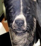 Dog tattoo