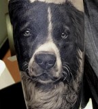 Dog tattoo by Matteo Pasqualin