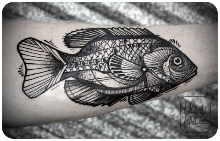 Fish tattoo by David Hale