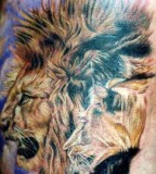 Lion tattoo