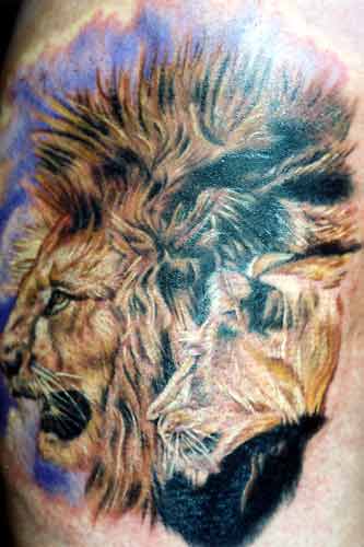 Lion tattoo