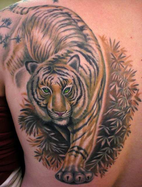 Realistic tiger tattoo