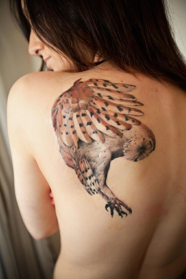 Shoulder owl tattoo