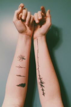 beautiful tattoo placement trees and leaves on inside arms