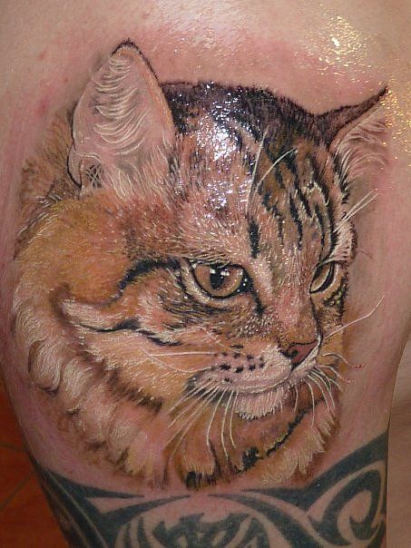 cat tattoo