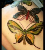 green tatoo three huge butterflies on back