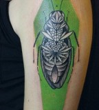 green tattoo cockroach by jessica mach