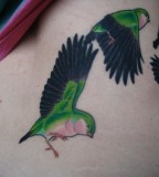 green tattoo flying birds