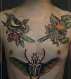 jessica mach tattoo birds on chest and bug on stomach