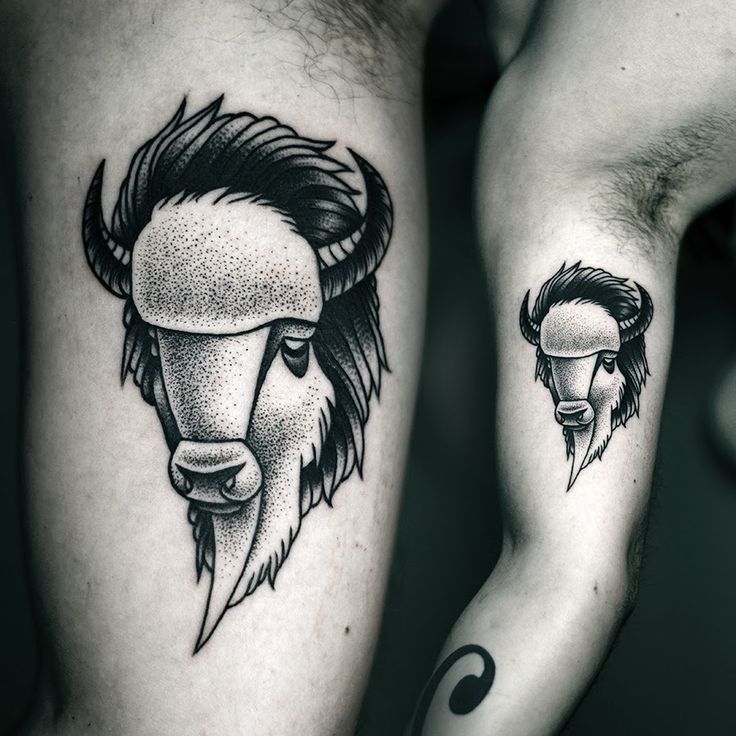 kamil czapiga tattoo bison on inside arm