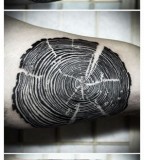 nature tattoo tree growth ring