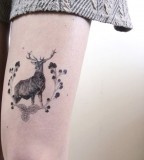 roe animal tattoo