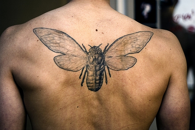 tattoos for men hipster bug tattoo on back