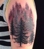 Amaizing firs tattoo