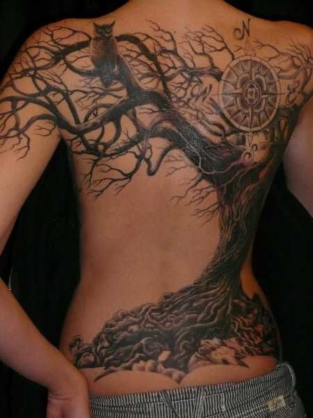 Amaizing tree and owl back tattoo