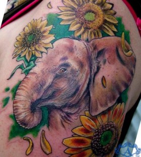 Elephant tattoo by Sean Ambrose