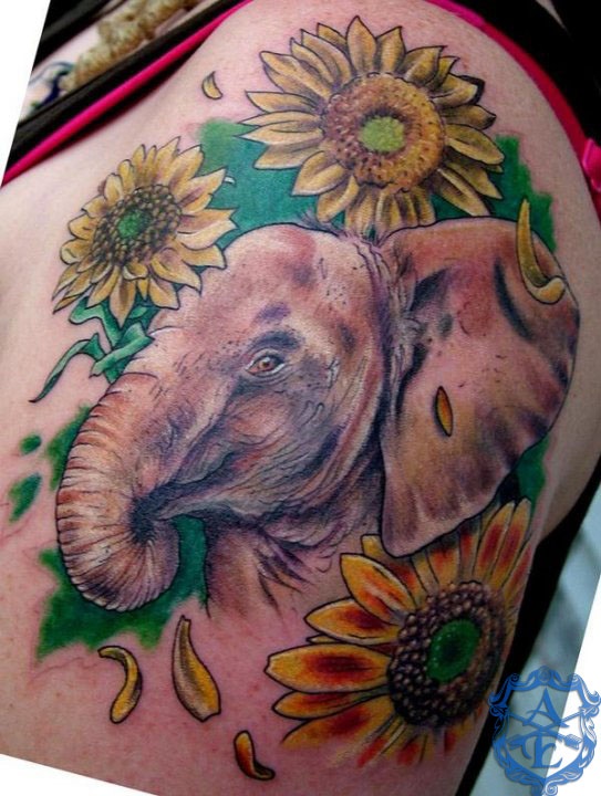 Elephant tattoo by Sean Ambrose